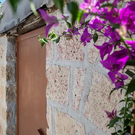 Lägenhet Coreammare